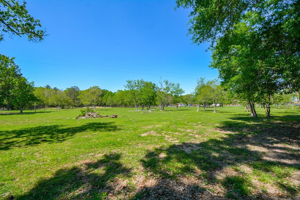 24897 Rainbow Lane, New Caney, Texas image 13