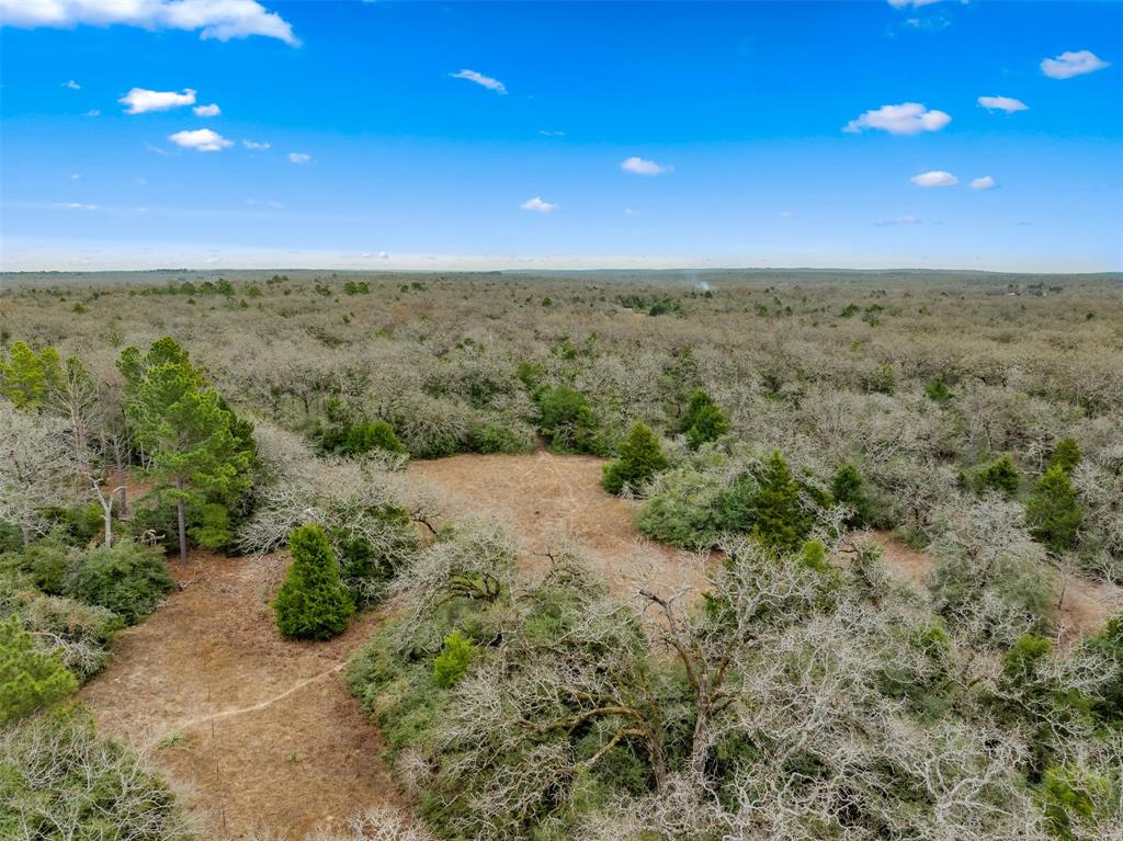 6715 County Road 363, Jewett, Texas image 43