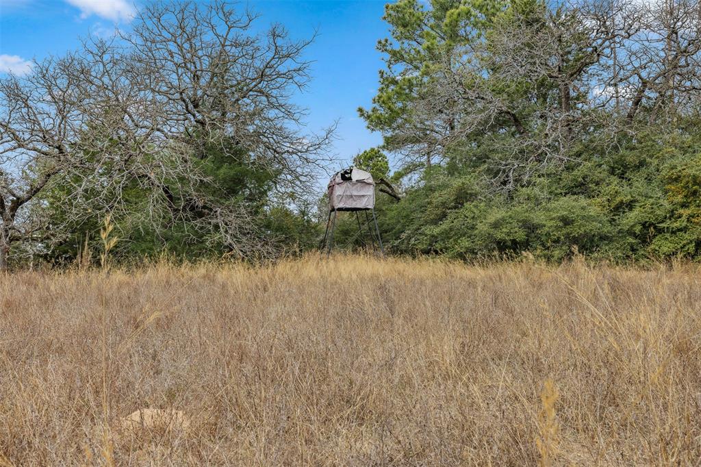 6715 County Road 363, Jewett, Texas image 14