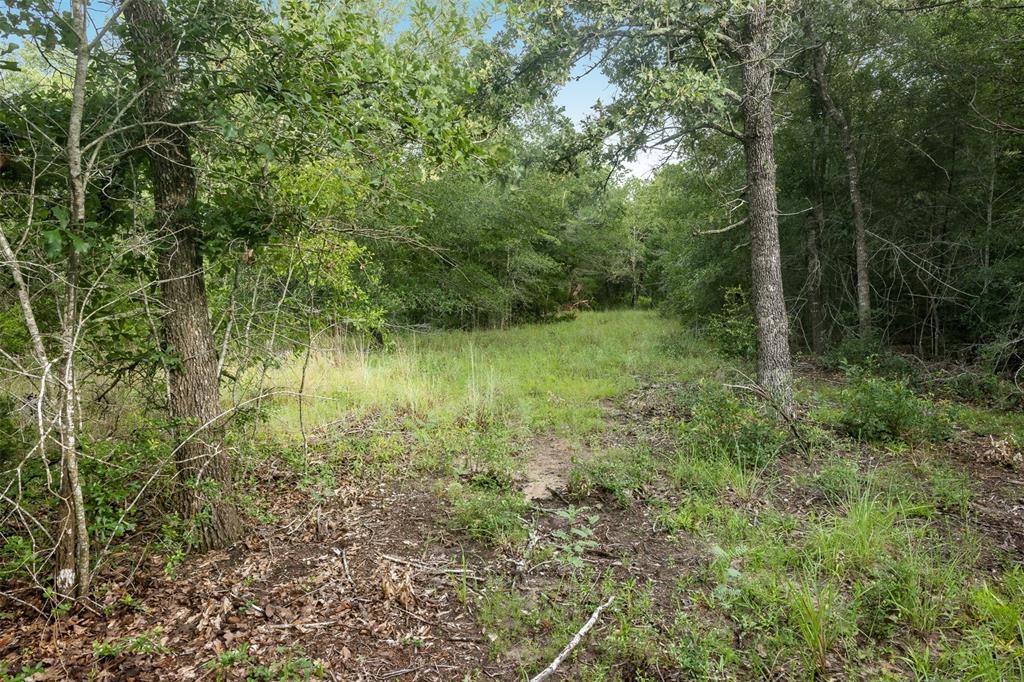 TBD Homestead Lane