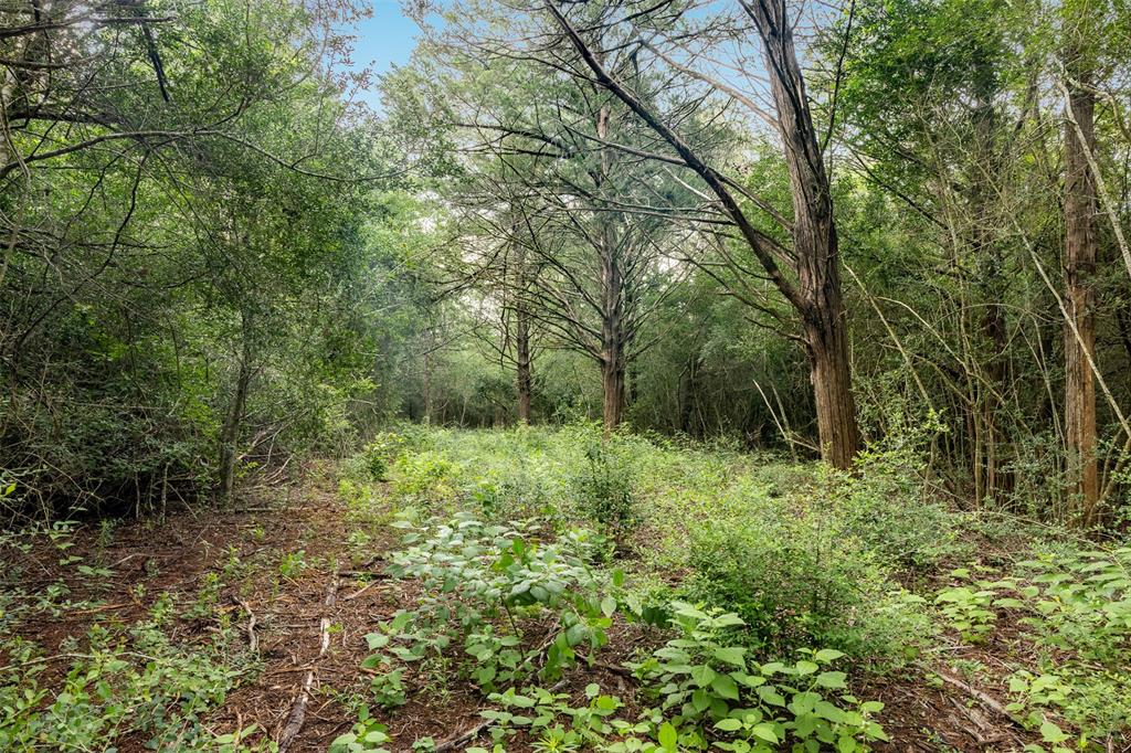 TBD Homestead Lane
