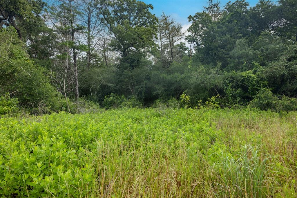 TBD Homestead Lane