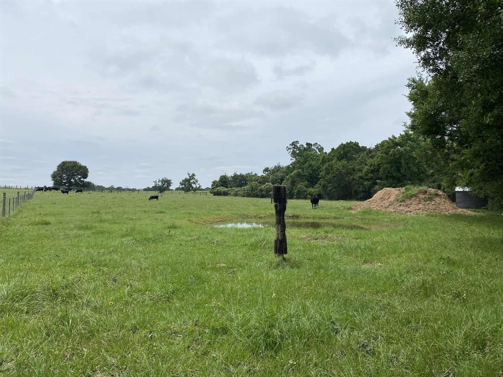 43279 Henson Road, Hempstead, Texas image 9