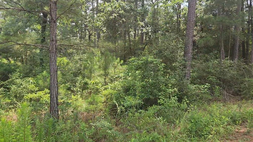 Lot 4 Smokethorn Lane