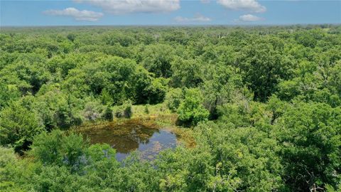 Photo of TBD Fm-2154, Navasota, TX 77868 (MLS # 78046103) Photo of TBD Fm-2154, Navasota, TX 77868 (MLS # 78046103)