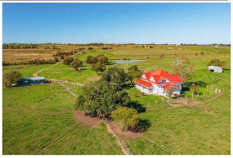 12016 Mazoch Rd Weimar TX 78962