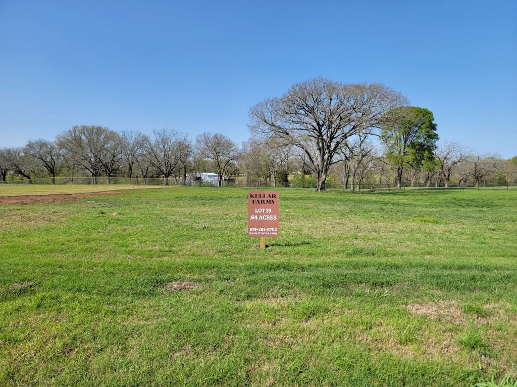 Lot 19 Hydrangea Drive, Smithville, Texas image 1