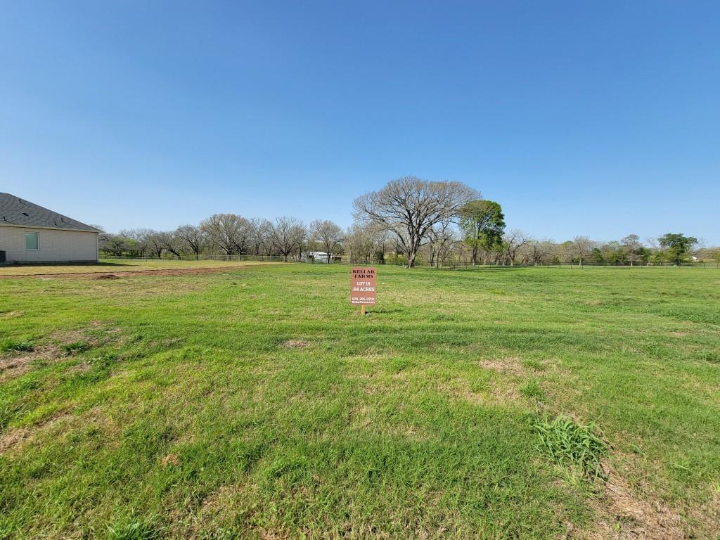 Lot 19 Hydrangea Drive, Smithville, Texas image 2