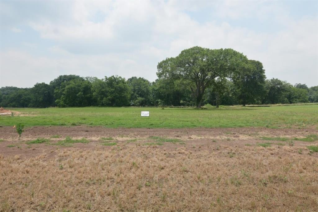 Lot 19 Hydrangea Drive, Smithville, Texas image 1