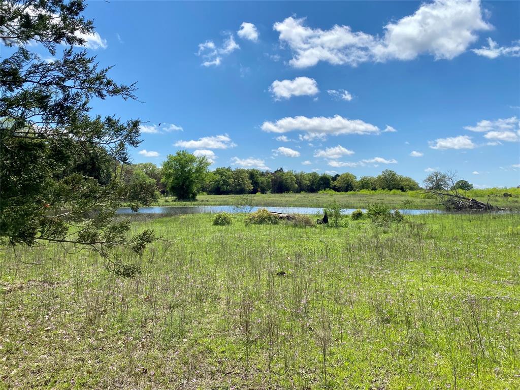 1084 County Road 120, Giddings, Texas image 9