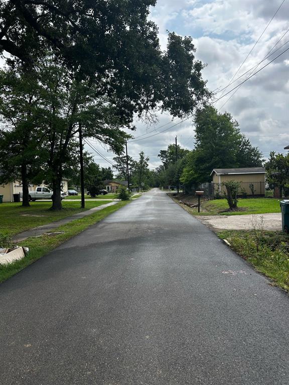Davidson Street, Houston, Texas image 2