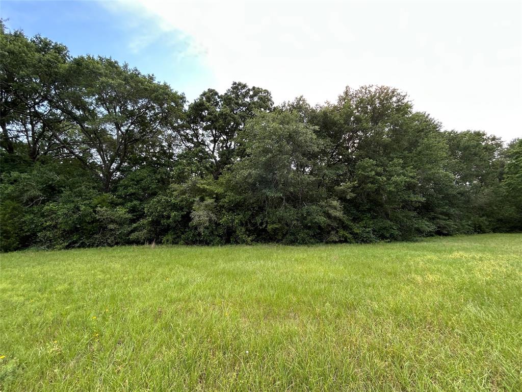 25385 Archie Lane, Hempstead, Texas image 11