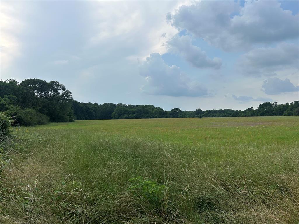 25385 Archie Lane, Hempstead, Texas image 5