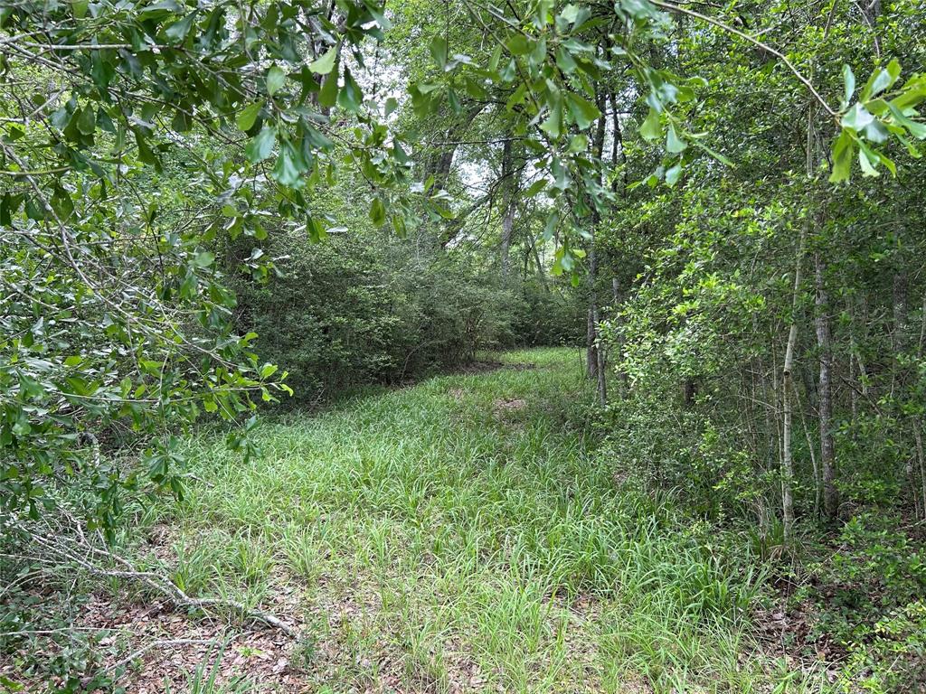25385 Archie Lane, Hempstead, Texas image 14