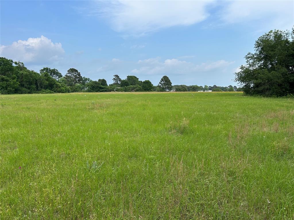25385 Archie Lane, Hempstead, Texas image 21