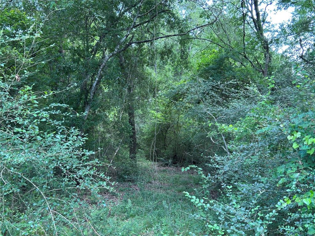 25385 Archie Lane, Hempstead, Texas image 18