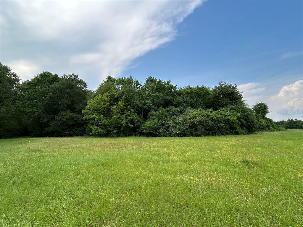 25385 Archie Lane, Hempstead, Texas image 10