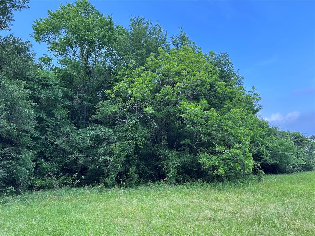 25385 Archie Lane, Hempstead, Texas image 13