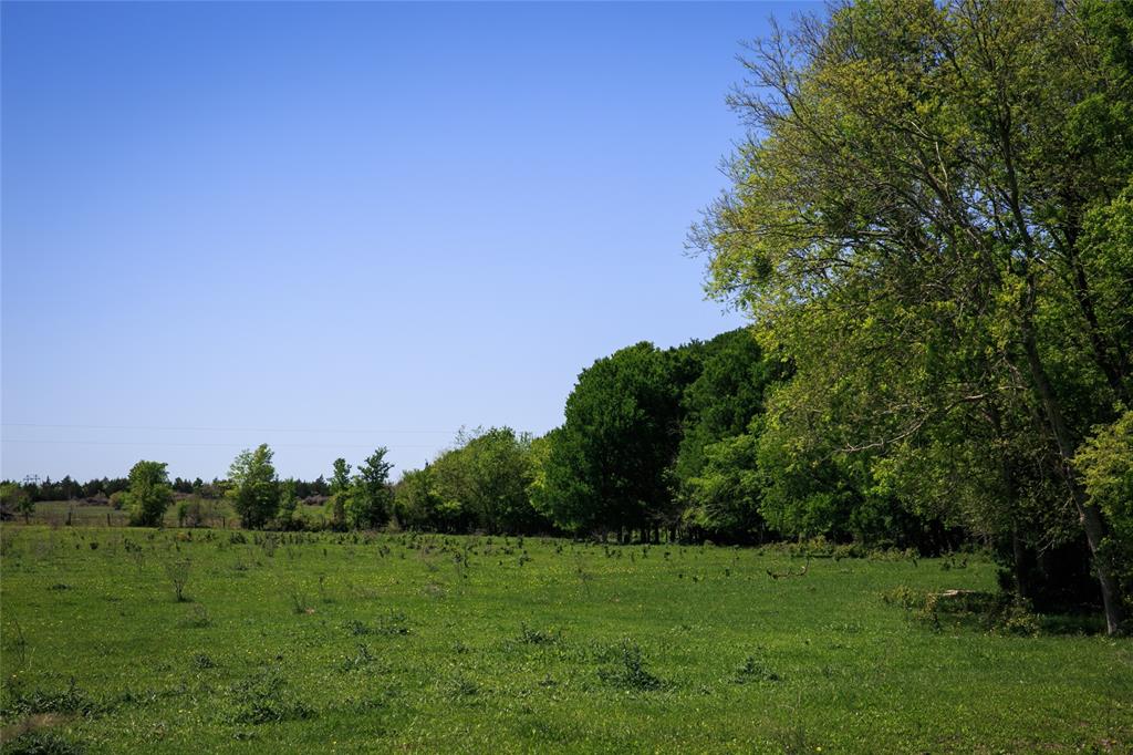 187 Acres Chadwick Hogan Road, Chappell Hill, Texas image 5