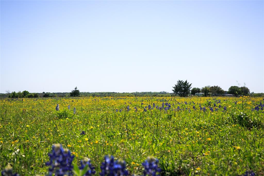 187 Acres Chadwick Hogan Road, Chappell Hill, Texas image 8