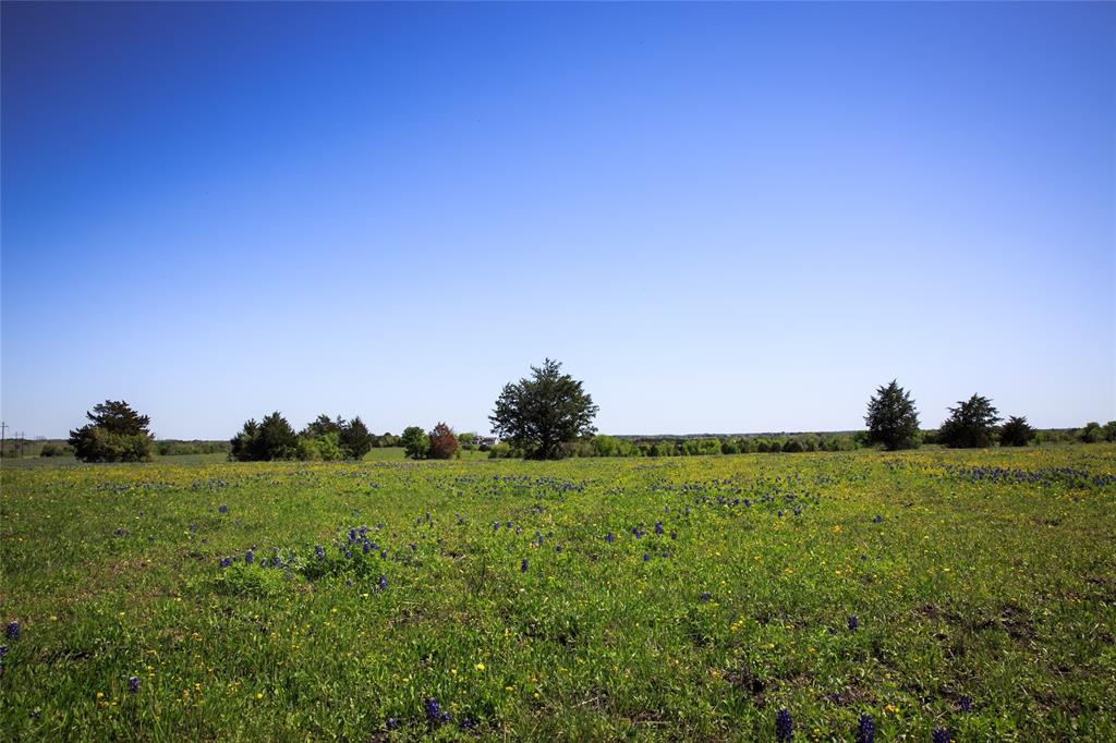 187 Acres Chadwick Hogan Road, Chappell Hill, Texas image 16