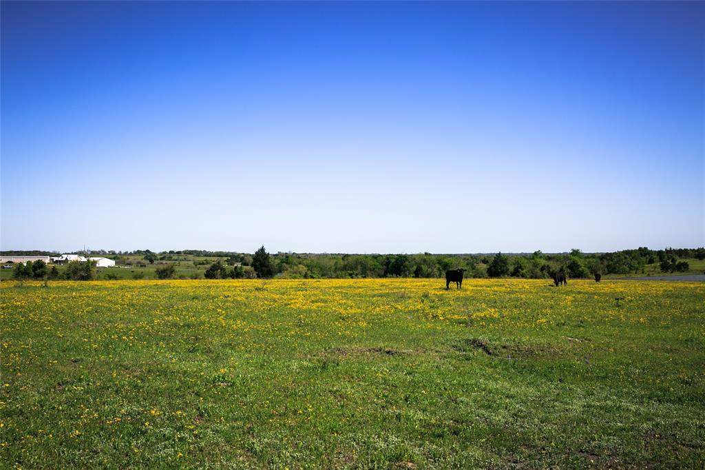 187 Acres Chadwick Hogan Road, Chappell Hill, Texas image 14