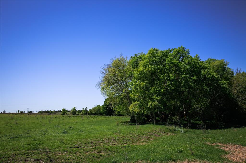 187 Acres Chadwick Hogan Road, Chappell Hill, Texas image 19