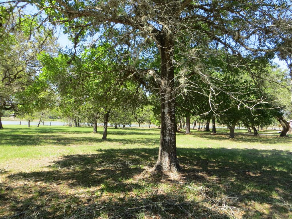 00 Cedar Circle, Sheridan, Texas image 10