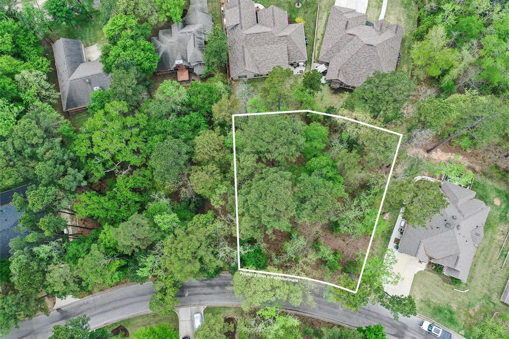 2120 Wheatstone Drive, Huntsville, Texas image 2