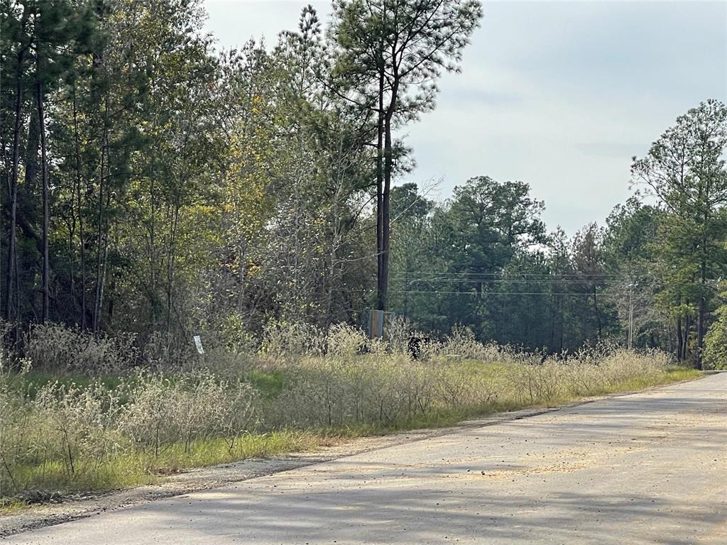 1-4-68 Courage Trail, New Waverly, Texas image 3