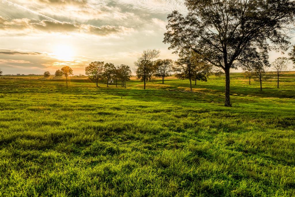 Lot 20 Sunny Meadow Drive, Chappell Hill, Texas image 1