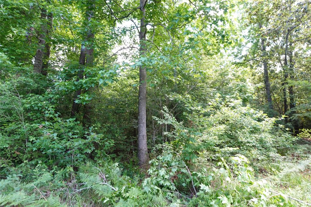 TBD Road 2729, Cleveland, Texas image 3