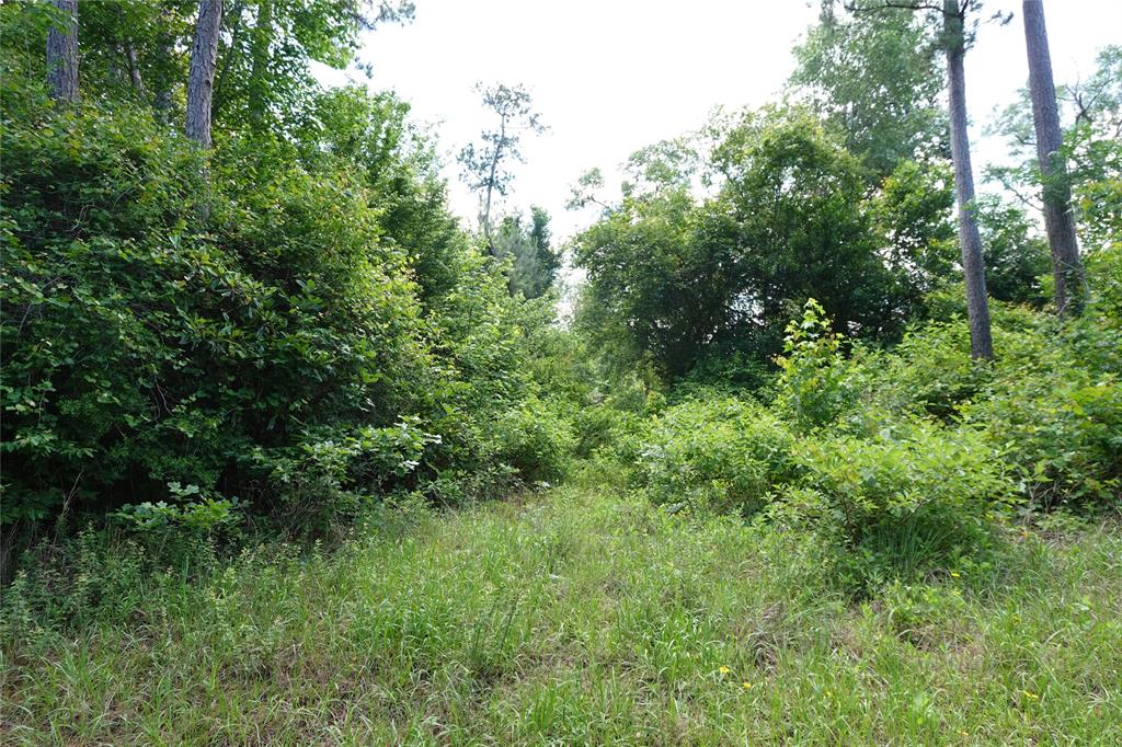 TBD Road 2729, Cleveland, Texas image 5