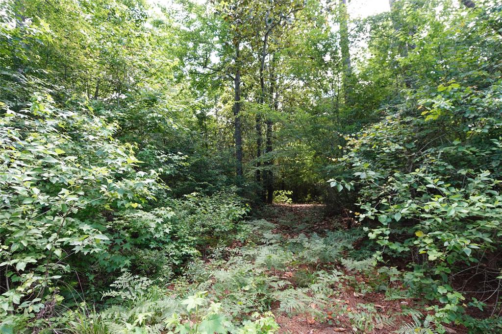 TBD Road 2729, Cleveland, Texas image 4