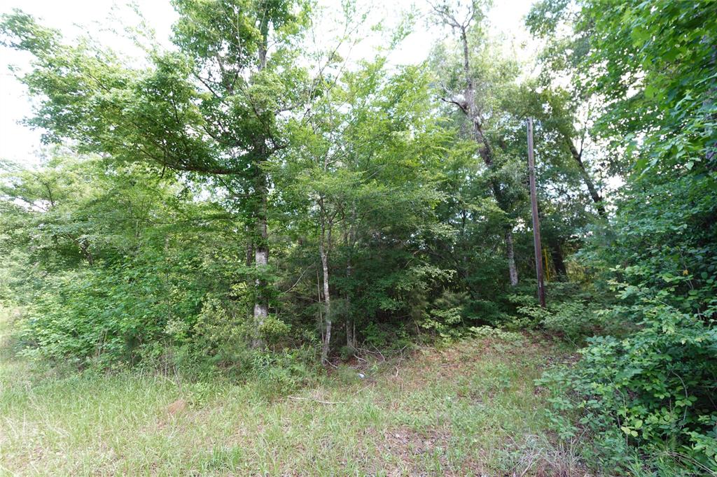 TBD Road 2729, Cleveland, Texas image 1
