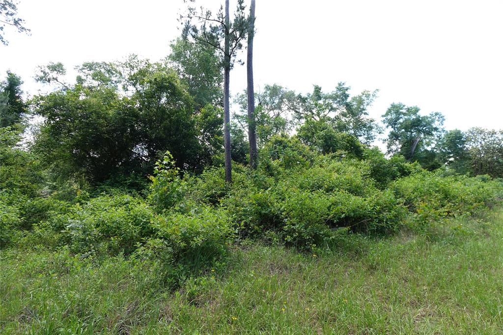 TBD Road 2729, Cleveland, Texas image 2