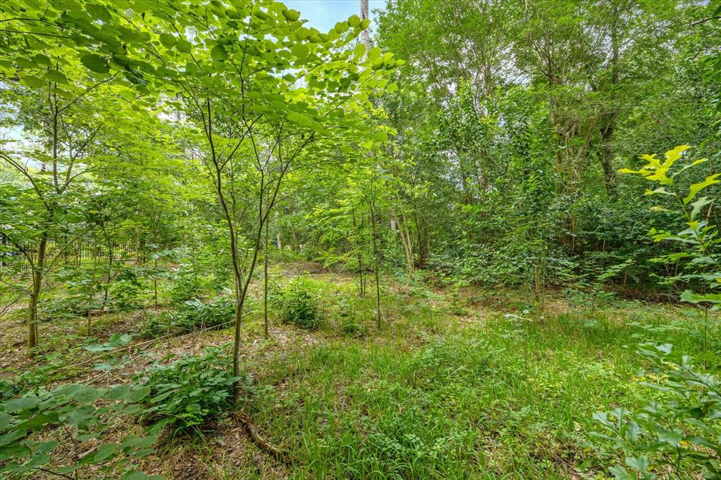 7 Carlton Park Court, Houston, Texas image 6