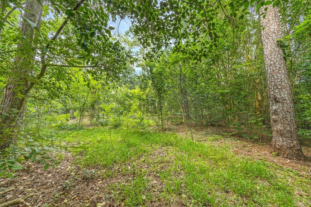 7 Carlton Park Court, Houston, Texas image 4