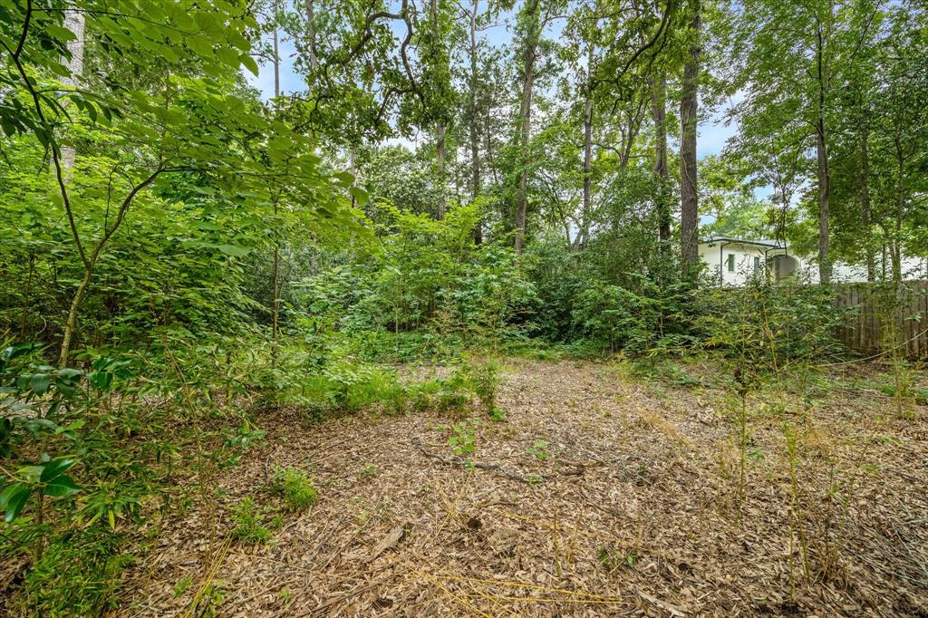 7 Carlton Park Court, Houston, Texas image 3