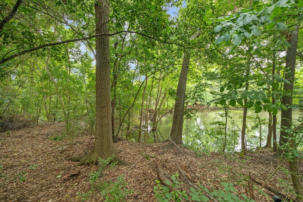 7 Carlton Park Court, Houston, Texas image 5