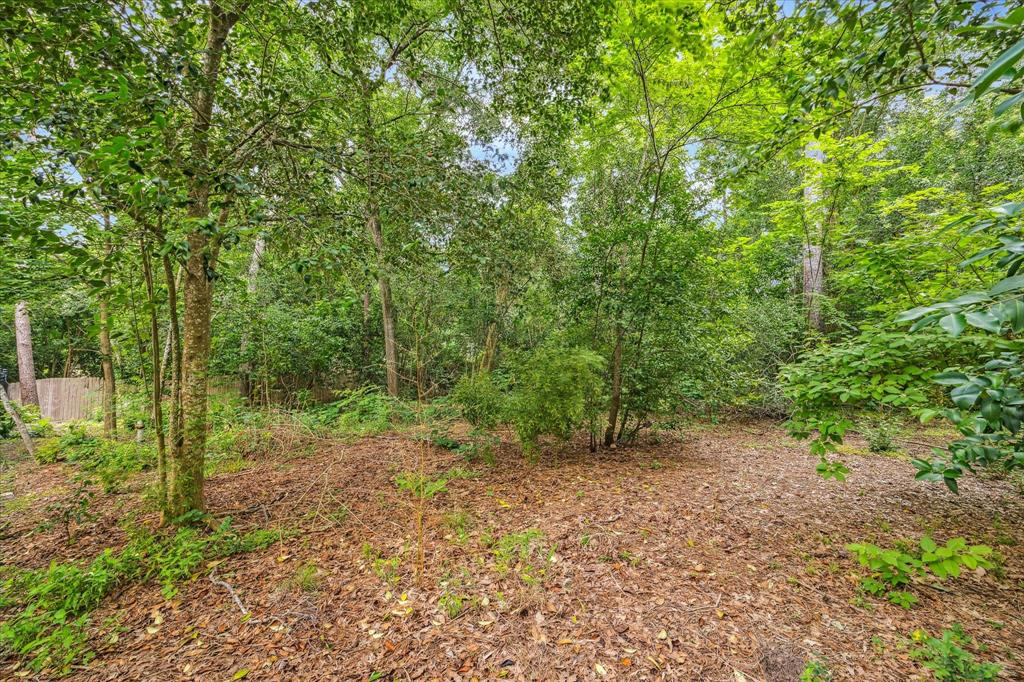 7 Carlton Park Court, Houston, Texas image 7