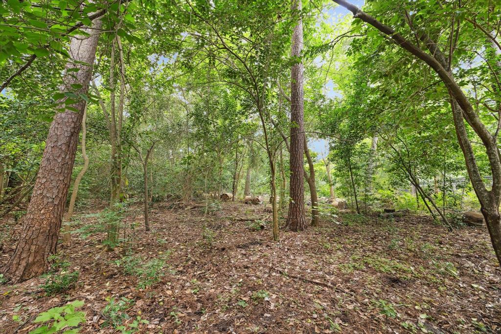 7 Carlton Park Court, Houston, Texas image 2