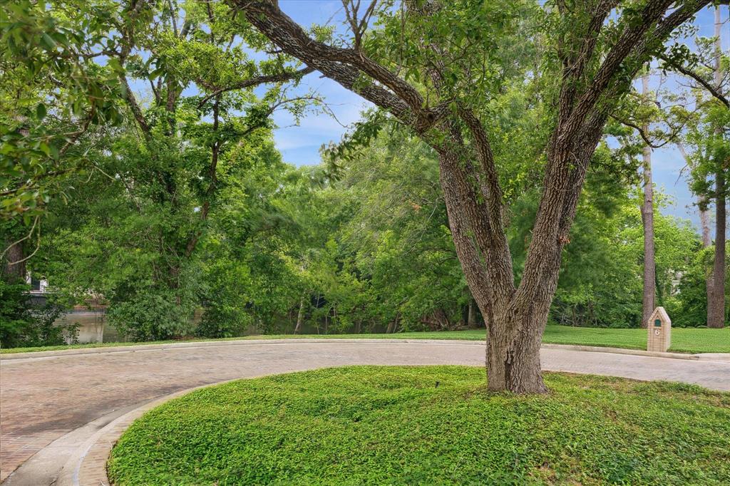 7 Carlton Park Court, Houston, Texas image 1