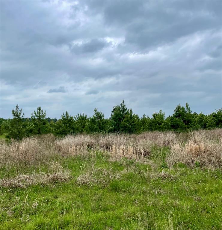 Calhoun Ct Tract 170, Lovelady, Texas image 3