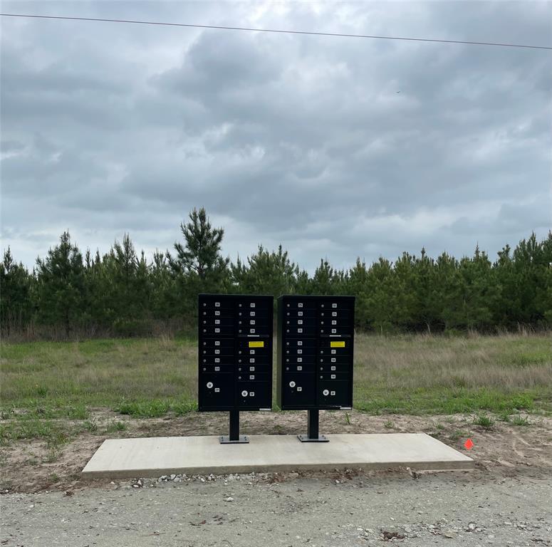 Calhoun Ct Tract 170, Lovelady, Texas image 8