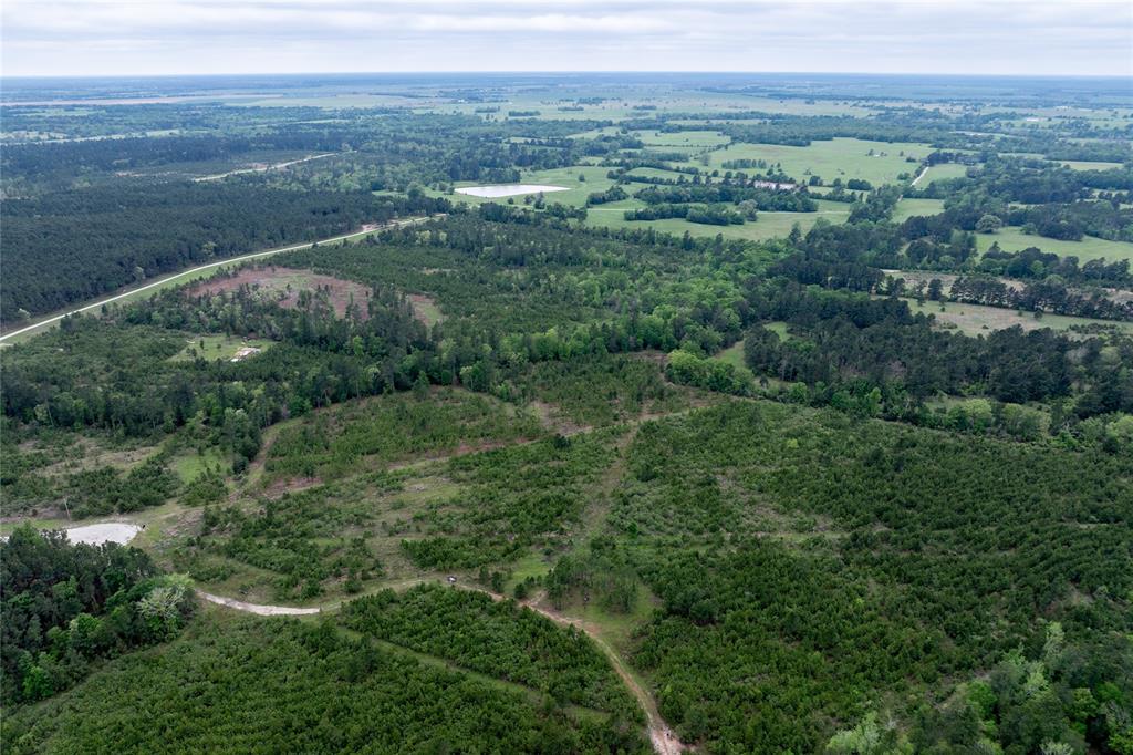 Calhoun Ct Tract 170, Lovelady, Texas image 33