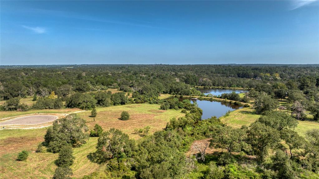 298 Bellwood Lake Lane, Bellville, Texas image 8