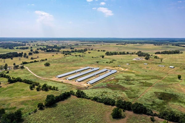 3585 AN COUNTY ROAD 2701, TENNESSEE COLONY, TX 75861 - Image cfcbfaad276339bccc38efb7a757eae8/3428558202