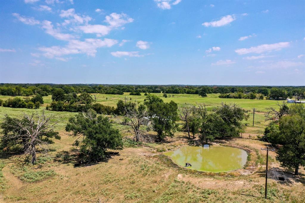 3585 County Road 2701, Tennessee Colony, Texas image 22