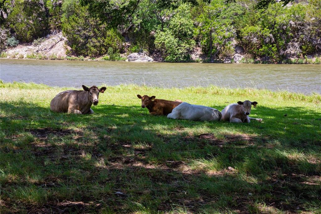 22 Indian Creek Loop, Kerrville, Texas image 47